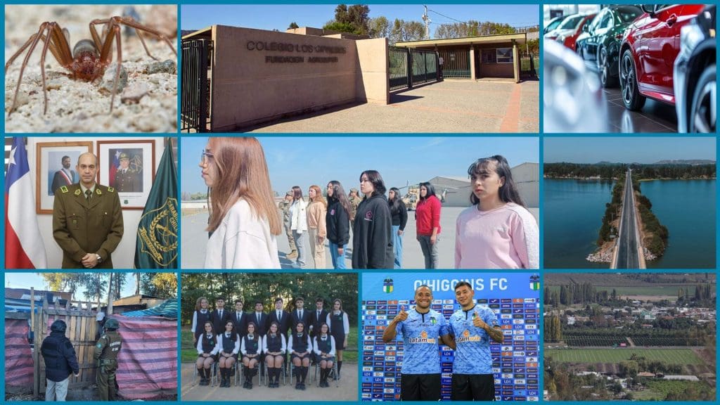 Los 10 artículos más leídos este 2025 en elrancaguino.cl