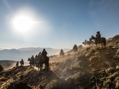 1 ARRIERO créditos_ Rodrigo Suazola Elizondo