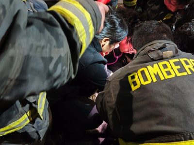 1 bomberos rescates mascotas....