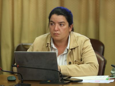 1 diputada Natalia Romero