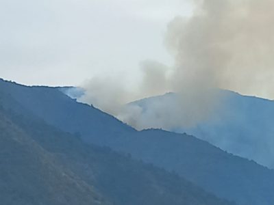 1 incendio forestal...