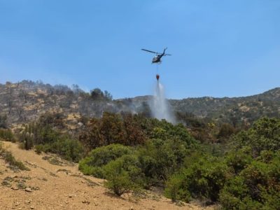 1 incendios forestales
