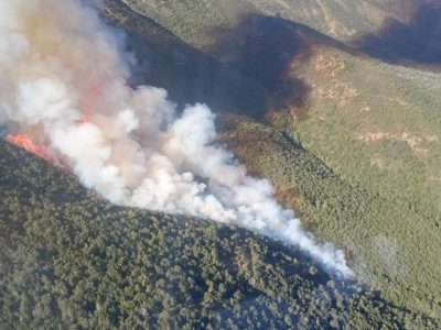 1 incendios forestales