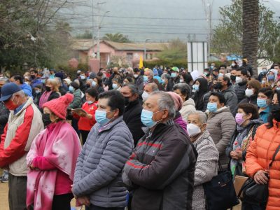 12 pelequen