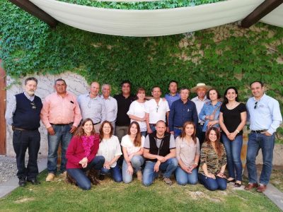 1grupo