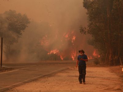 Los incendios forestales ocurridos en el verano del 2016-2017 fueron uno de los más devastadores vistos en los últimos años, estos en algunos casos fueron provocados por causas eléctricas.
