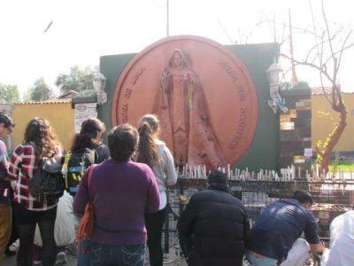 4 pelequen