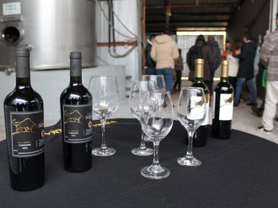 4 viñas cachapoal