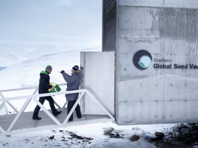 El 26 de febrero de 2008 se inauguraba oficialmente la Bóveda de Svalbard y ese día se depositaban allí las primeras 268.000 semillas procedentes de un centenar de países del mundo.
. EPA/HEIKO JUNGE NORWAY OUT[NORWAY OUT]