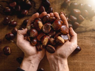 Según expertos nutricionistas de www.nutritienda.com, empresa dedicada a productos  de salud y belleza, la castaña posee una composición más parecida a la de un cereal que a la de un fruto seco por ser fuente de fibra y de hidratos de carbono complejos, por lo que aportan la energía perfecta para afrontar los cambios de tiempo. Foto: cedida por Nutritienda.
