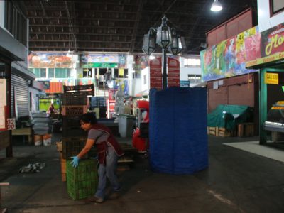 ABIERTO 3