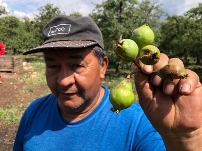 AGRICULTURA 5