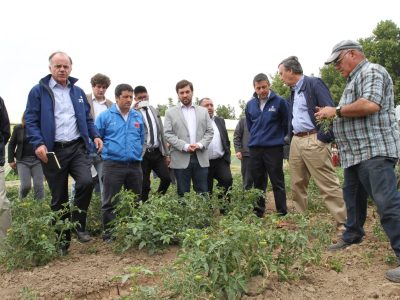 AGRICULTURA2