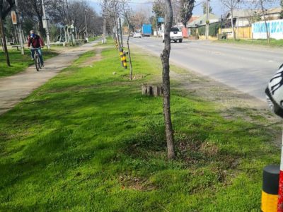 AVENIDA LA COMPAÑIA