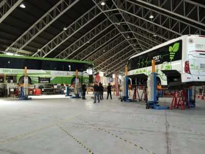 BUS 2