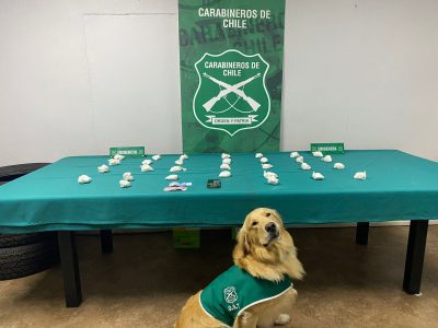 CAN 2