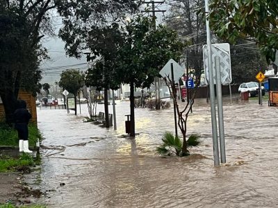 COLTAUCO 8