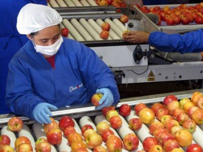 DÓNDE-HACER-UN-CURSO-DE-PROCESOS-DE-PACKING