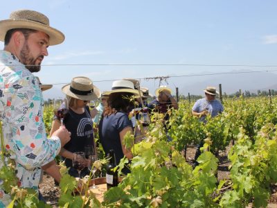 ENOTURISMO_LOS_BOLDOS
