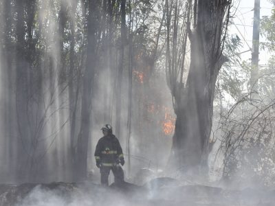 Foto 2 incendios forestales