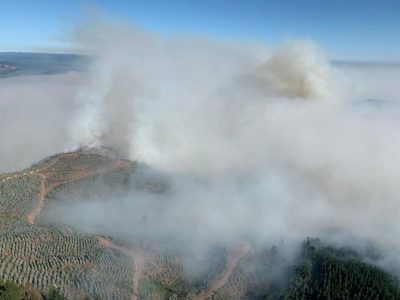 IMG-20190215-WA0006 (1)