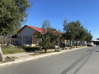IMG_3398