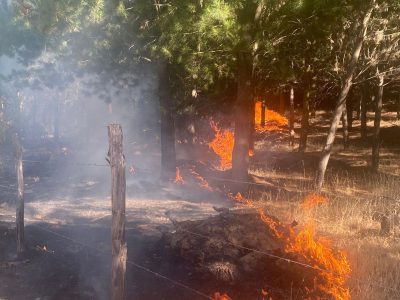 INCENDIOS 1