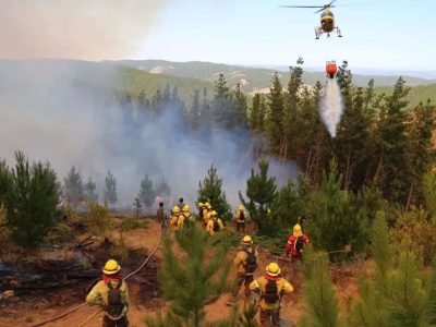 Incendio Forestal