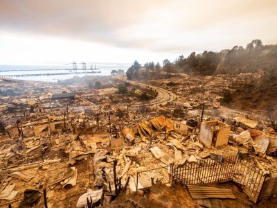 Incendio forestal