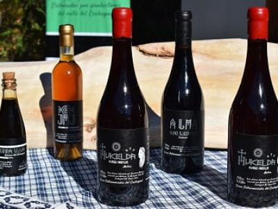 Mutrem, vinos patrimoniales_opt