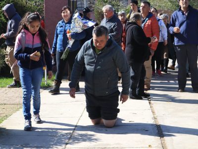 PELEQUEN 6