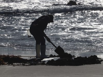 PICHILEMU 6
