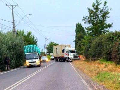 accidente las cabras