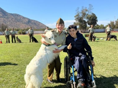 adiestramiento canino 4