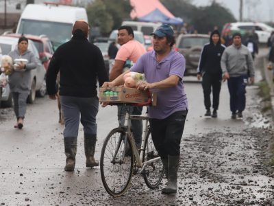 ayuda coltauco