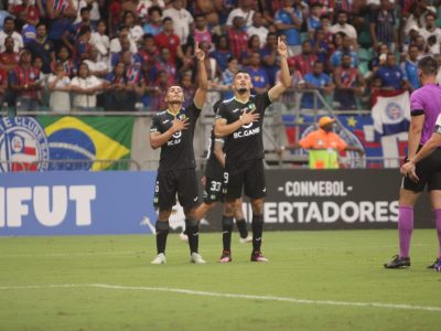 bahia ohiggins 4
