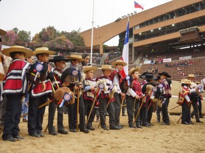caballitos de palo