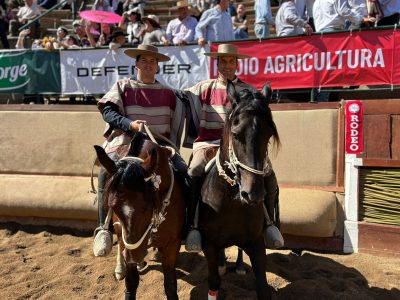 caballos 3