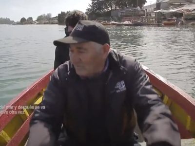 cahuil