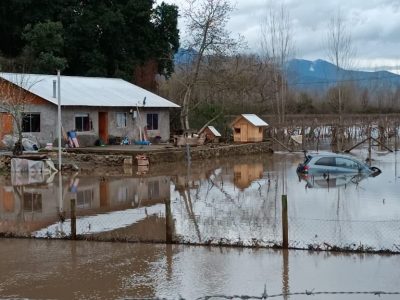 coltauco 1