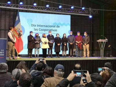 cooperativas boric 010