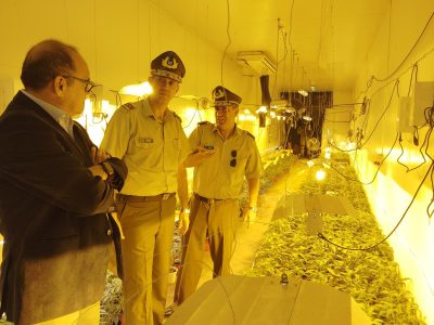 decomiso marihuana 1