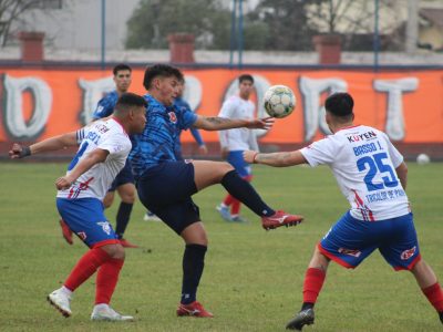 deporancagua tricolorpaine 2