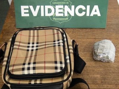 detenido droga palmilla