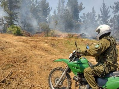 detenidos incendios