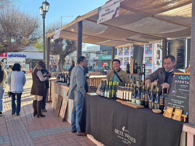 dia del vino 1