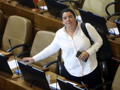 diputada natalia romero