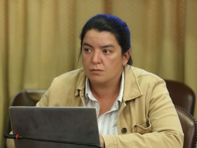 diputada natalia romero