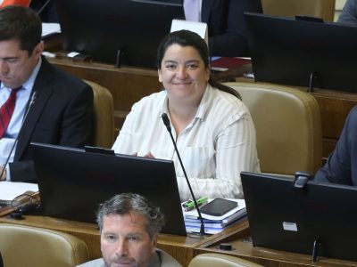 diputada natalia romero