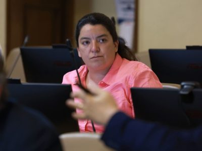 diputada natalia romero